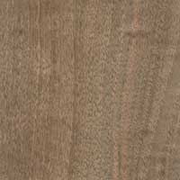 English Walnut