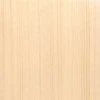 Norway Spruce